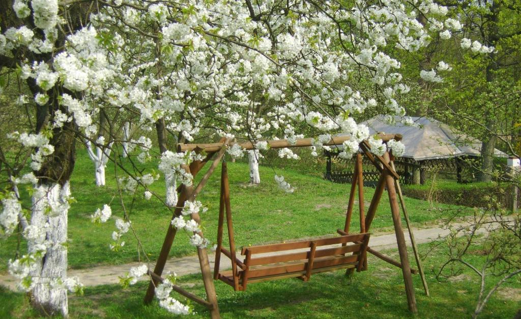 Gospodarstwo Agroturystyczne Lesniczowka Lubin  Buitenkant foto