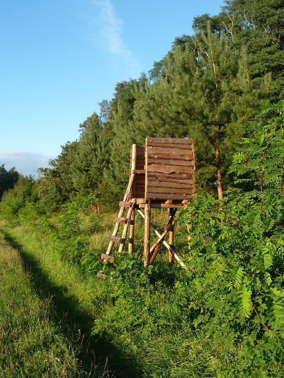 Gospodarstwo Agroturystyczne Lesniczowka Lubin  Buitenkant foto